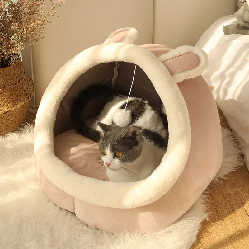 Cat Beds