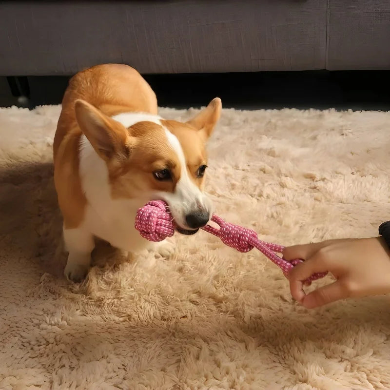 Interactive Cotton Rope Dog Toy