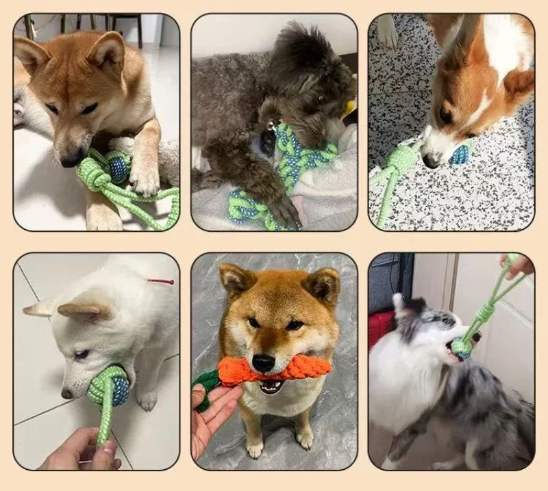 Interactive Cotton Rope Dog Toy