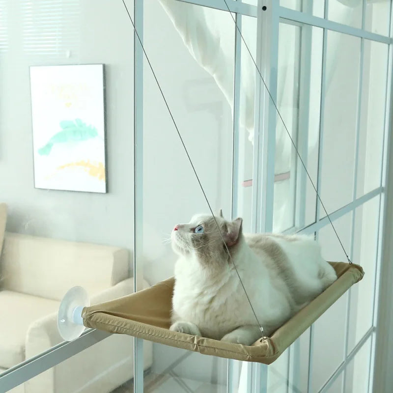 Window Lounge Hammock