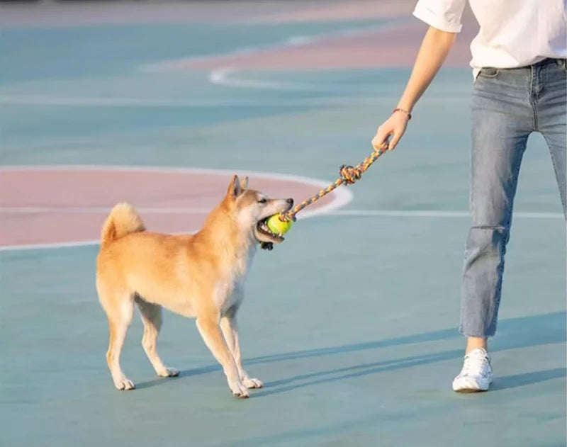 Interactive Cotton Rope Dog Toy